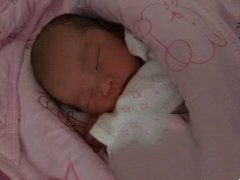 春天移植，冬天收获！恭喜X女士，母子平安！