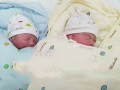广州N先生喜获双胞胎男宝