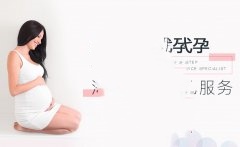 广州试管助孕期应避开哪些食物