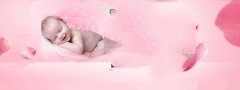 肥胖会影响试管成功率吗
